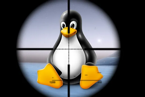 Linux本地权限提升漏洞,获取 root 访问权限